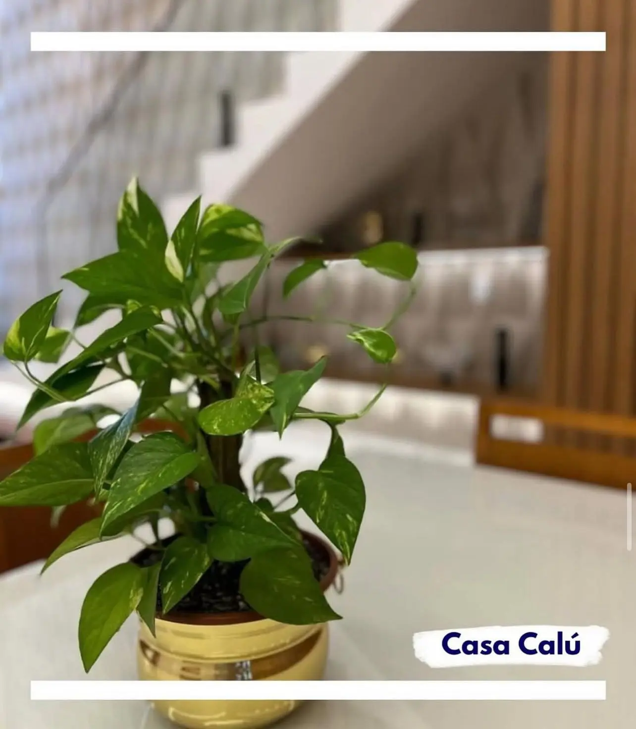 WhatsApp Image 2025-11-19 at 14.21.26 (2)